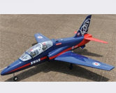 Phoenix Model