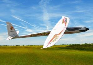 AvioTiger Robbe Max-Thrust Lightning 1500 ARF- 2626 abb 1