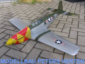 Mustang P-51 B - P51DRCGI83 Abb. 1