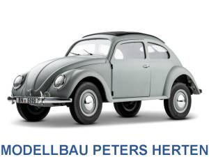 Rochobby Beetle 