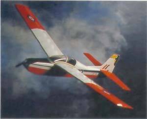 West Wings TOUCAN Abb. 1