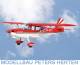 Black Horse / Pichler Bellanca Decathlon / 2450mm - C8054 Abb. 1