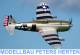 D-Power FMS P-47 Thunderbolt Razorback PNP - 150 cm - DPFMS089P Abb. 1