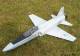 HET-RC_F-20_Tigershark_ARF_1.jpg