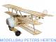 Pichler Fokker Dr.1 / 770 mm - C8792 abb 1