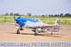 Ripmax Black Horse P-51D Mustang 33cc ARTF - A-BH140 abb. 1