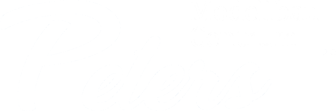 Modellbau-Centrum Peters Herten / Disteln RC Modellbau